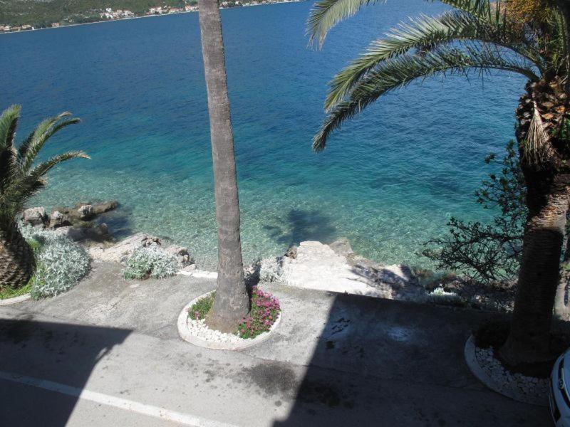 Apartments Jasmina Korcula Town Room photo